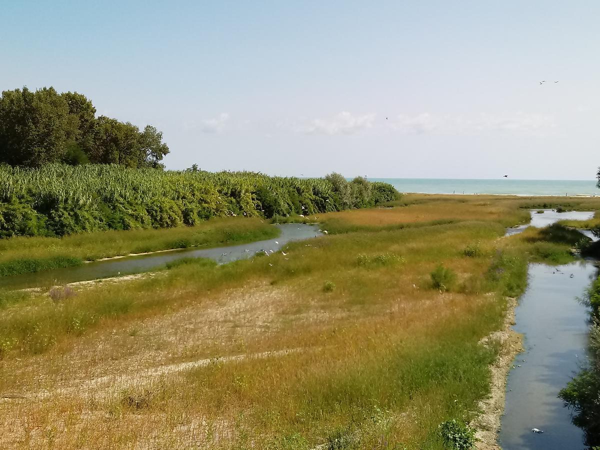 Residenza Corso Baccio Lejlighed SantʼElpidio a Mare Eksteriør billede